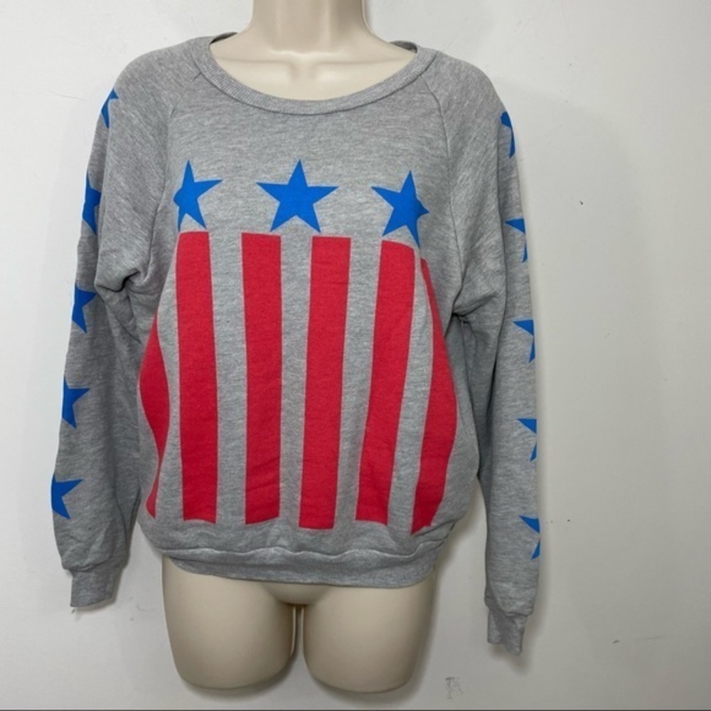 WILDFOX Stars and Stripes Pullover Sweatshirt L/S Size S USA Americana